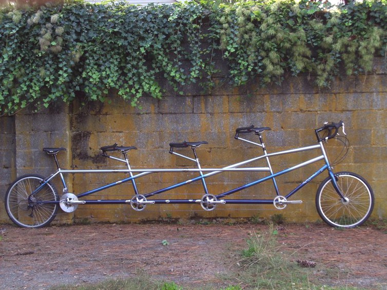 Custom Rodriguez Tandem with Cow paint